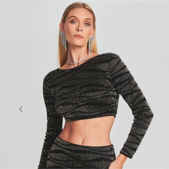 Retrofete Bryant Sequin Tiger Stripe Top Long Sleeve Beaded Size Large Black NWT - Picture 1 of 14